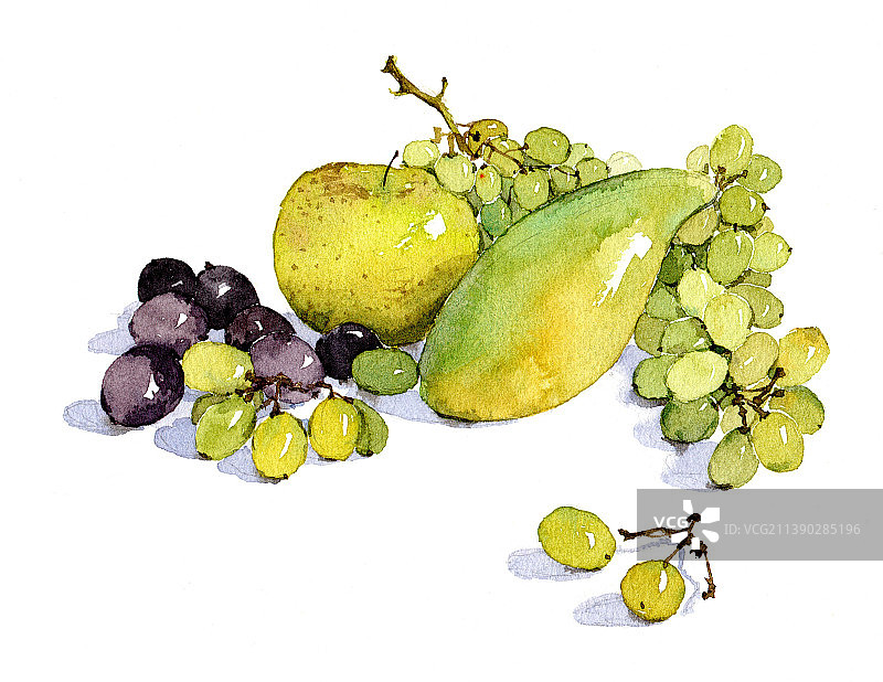 手绘水彩水果组合葡萄苹果芒果图片素材