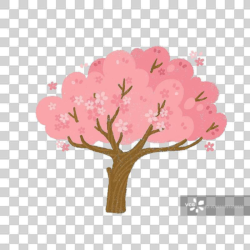 樱花树图片素材