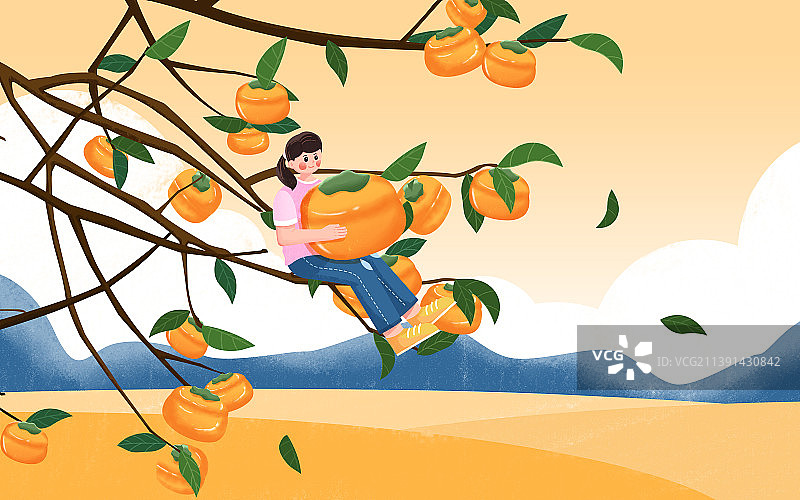 传统节气秋分少女怀抱柿子果实插画海报图片素材