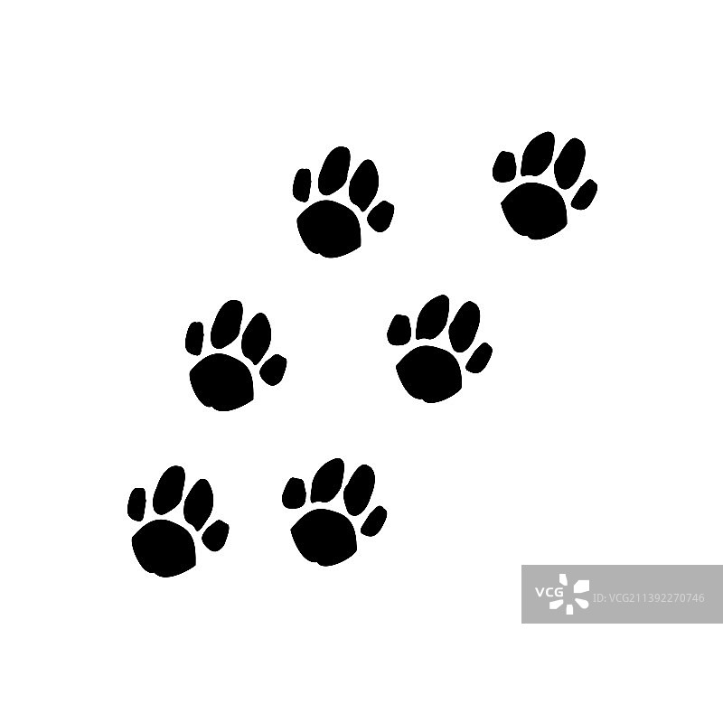 动物足迹猫和狗的爪印图片素材