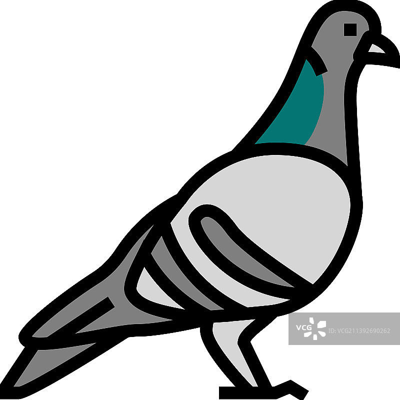 鸽子鸟颜色图标图片素材