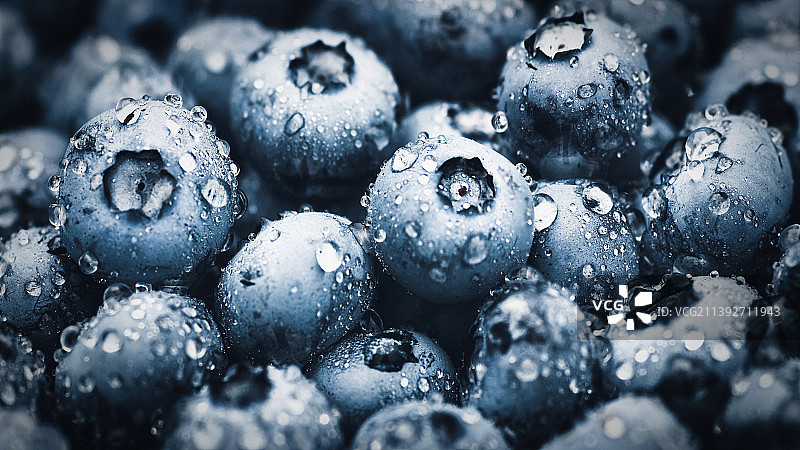 蓝莓宏观纹理，蓝莓湿与水滴特写图片素材