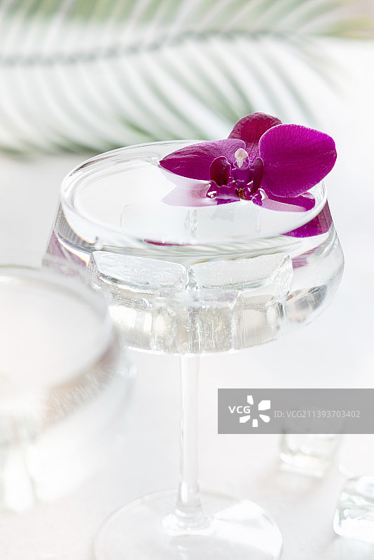 透明鸡尾酒在一个装饰着紫色兰花的玻璃近距离图片素材