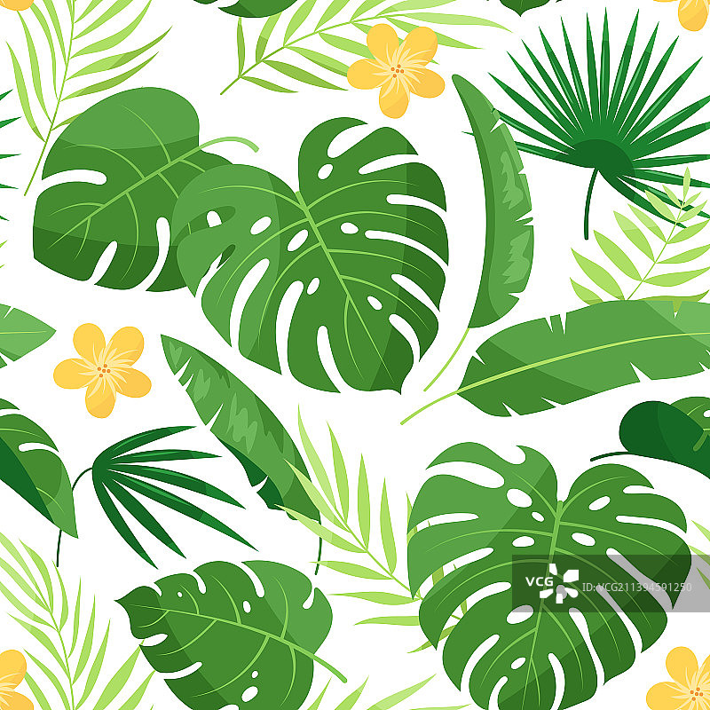 热带树叶的无缝图案图片素材