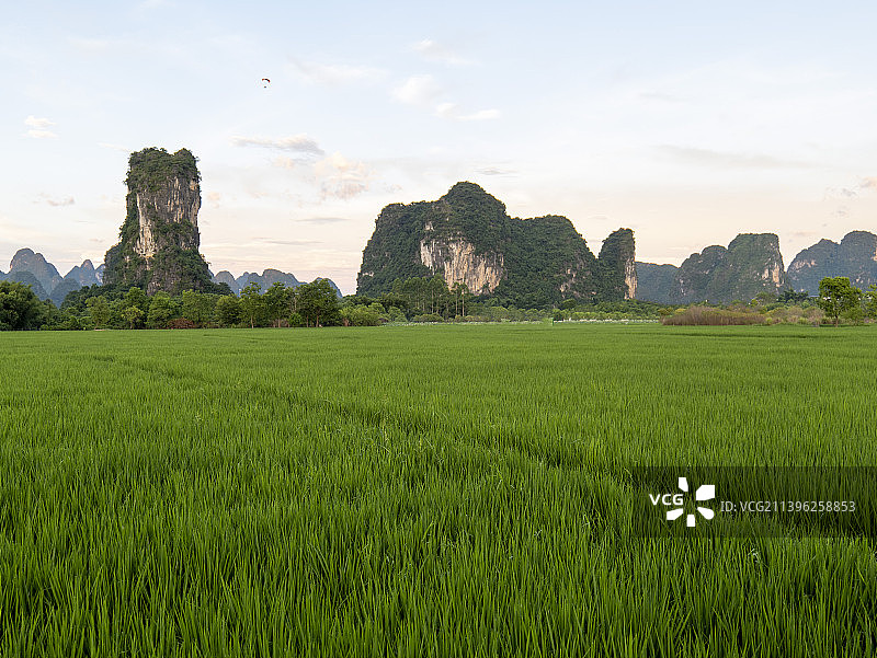 中国广西桂林阳朔白天的稻田风景和喀斯特山脉景观图片素材