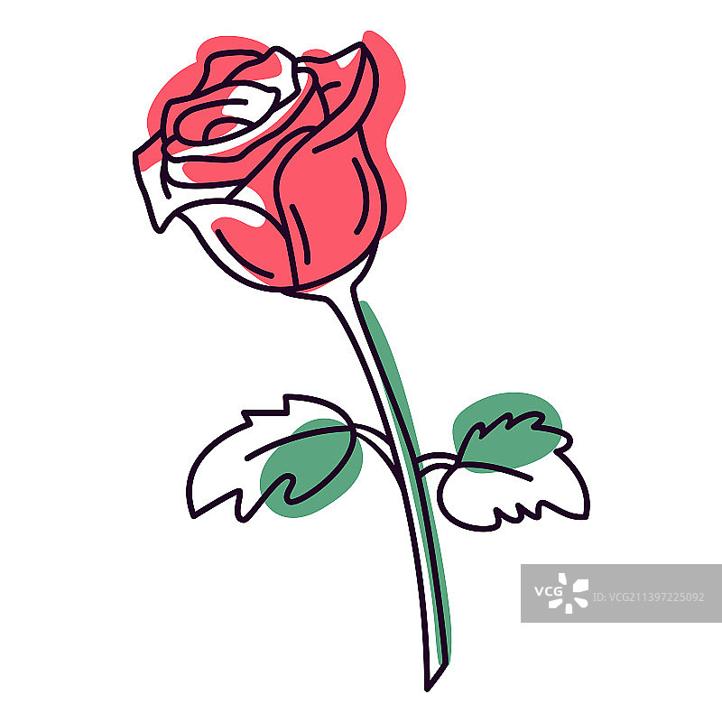 红玫瑰色描质高图片素材