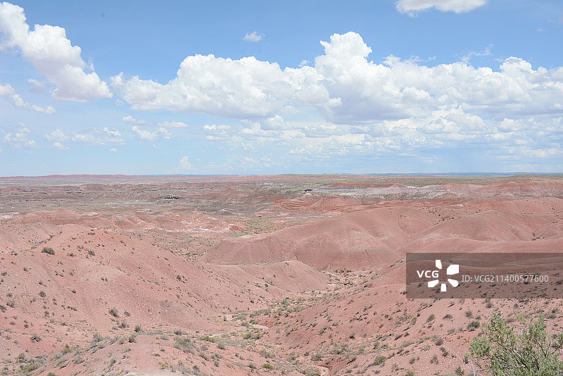 石化森林国家公园的彩色沙漠，石化森林国家公园，亚利桑那州，美国图片素材