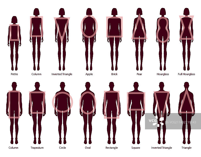 集女性男性身材轮廓类型图片素材