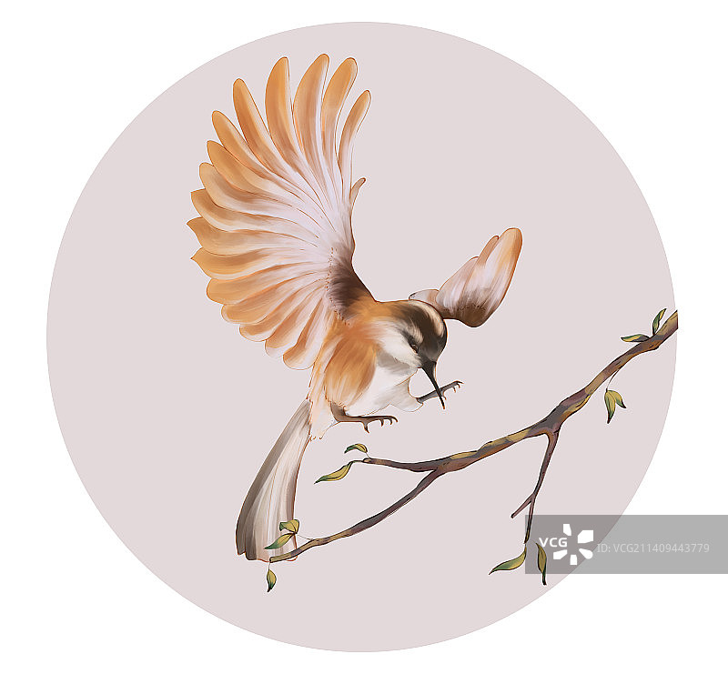 水墨古风传统展翅的鸟雀图片素材