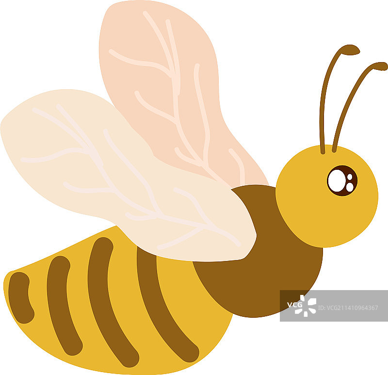 蜂虫动物图片素材