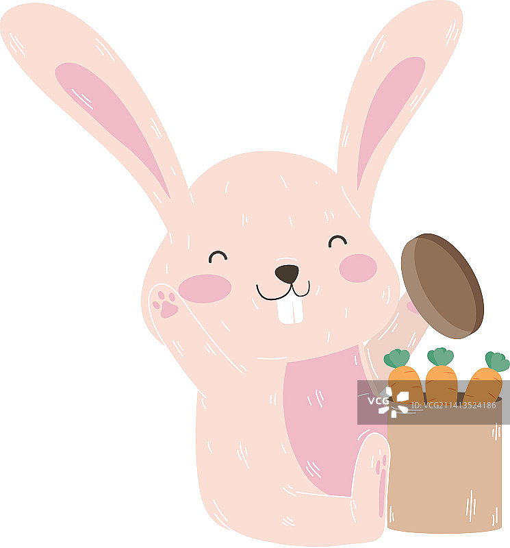 可爱的兔子和胡萝卜图片素材