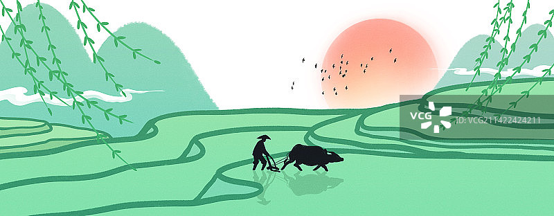 春天农忙时节梯田里耕田的农民和水牛风景插画图片素材