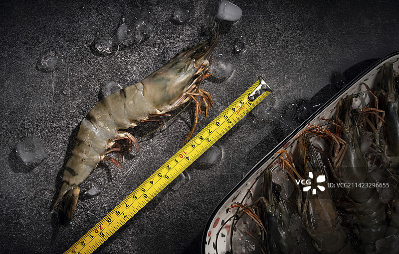 尺寸大的黑虎虾图片素材
