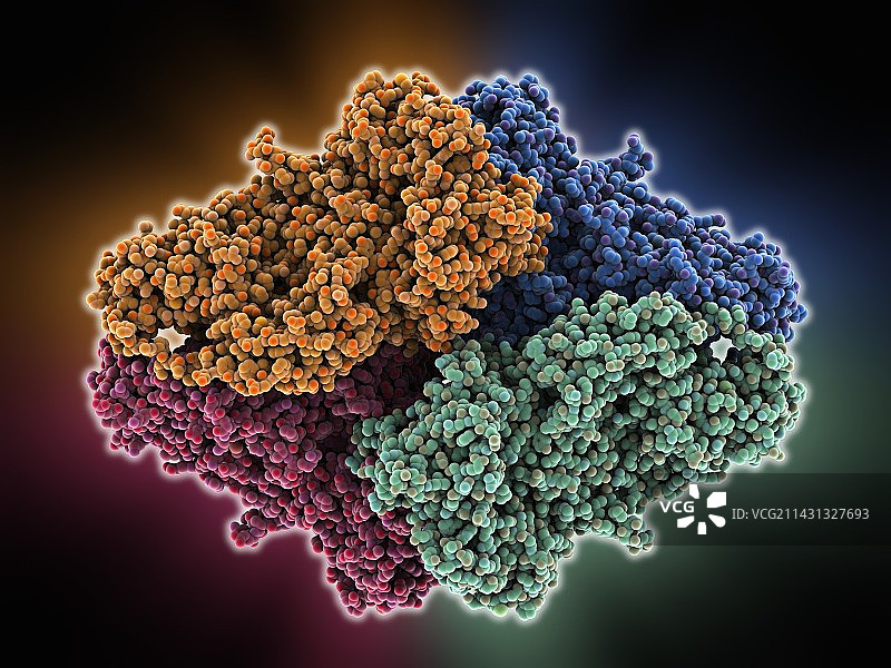 苷酶分子图片素材
