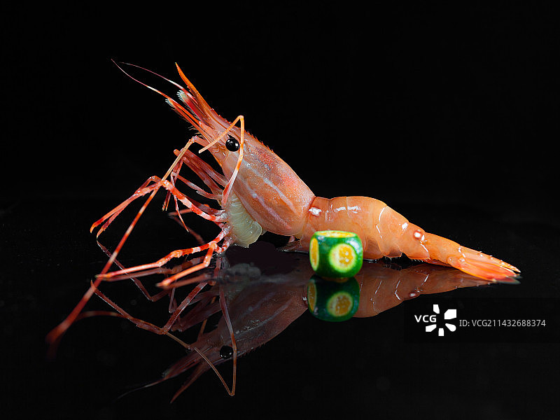 黑色背景下的日式甜虾刺身图片素材