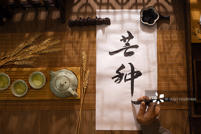 芒种,手拿毛笔写字,书法,中国文化图片素材