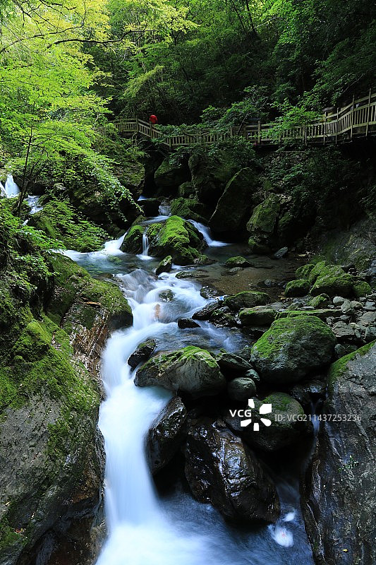 林间溪流穿石景观图片素材