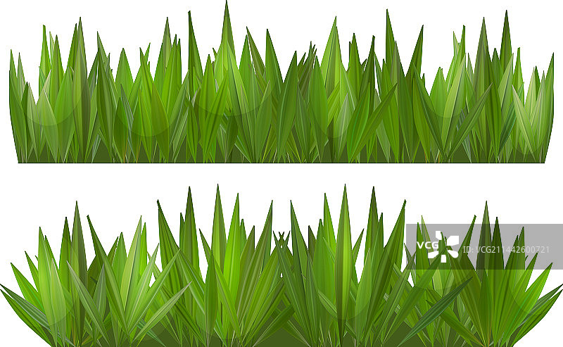 白色或透明的绿色草边图片素材