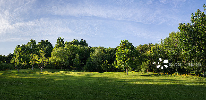 蓝天草坪  午后树林图片素材