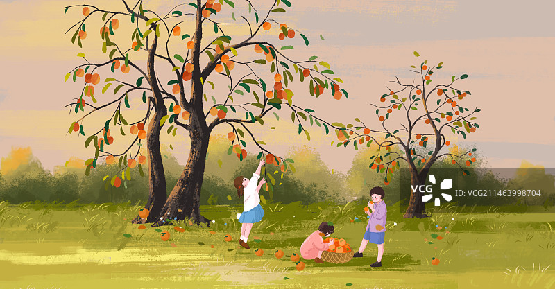 清新治愈系插画三个小孩在秋天的田野中摘柿子图片素材