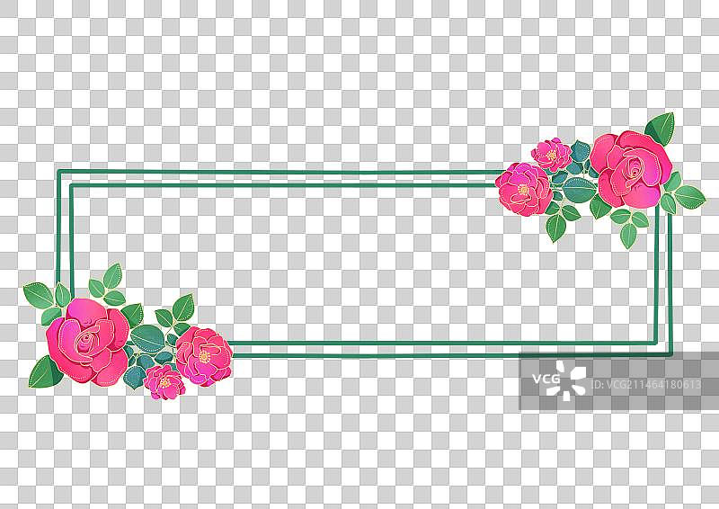 清新手绘玫瑰月季花卉边框元素图片素材
