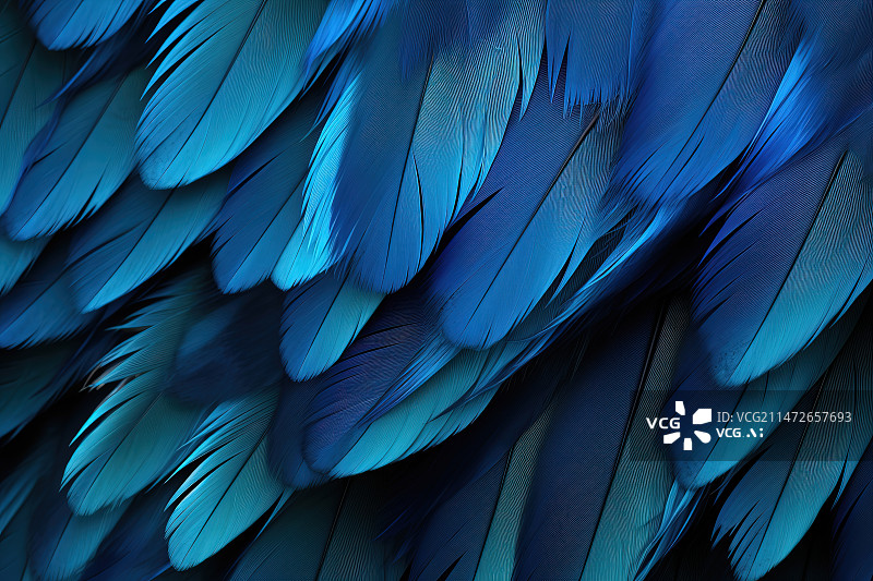 【AI数字艺术】蓝色羽毛全帧拍摄图片素材