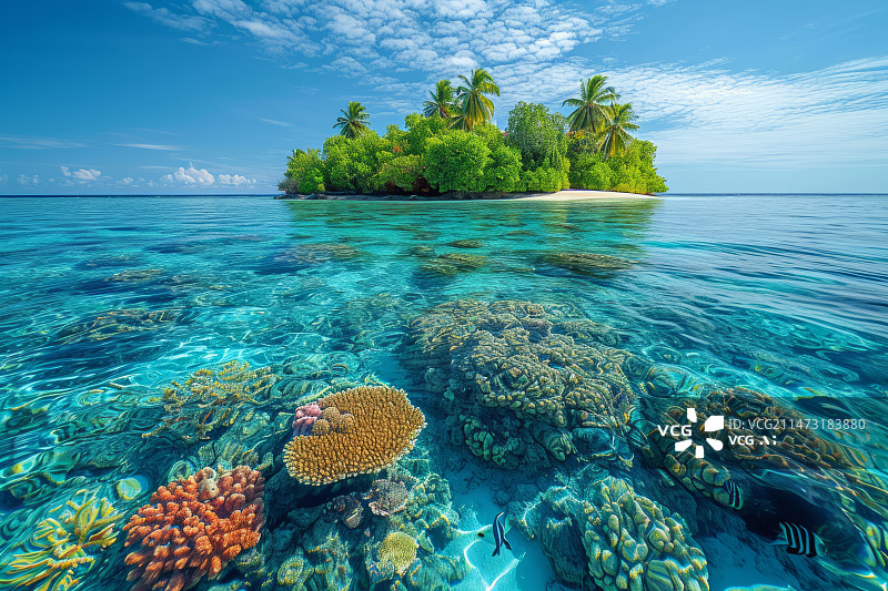 【AI数字艺术】清澈的大海能看到海底珊瑚图片素材