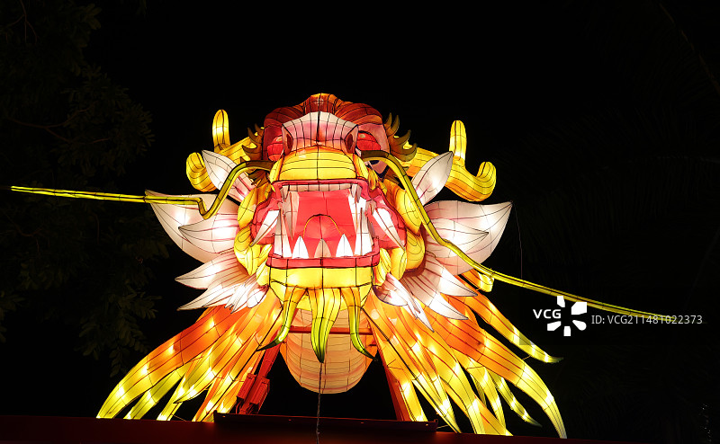 中国春节夜晚亮起的龙形花灯图片素材