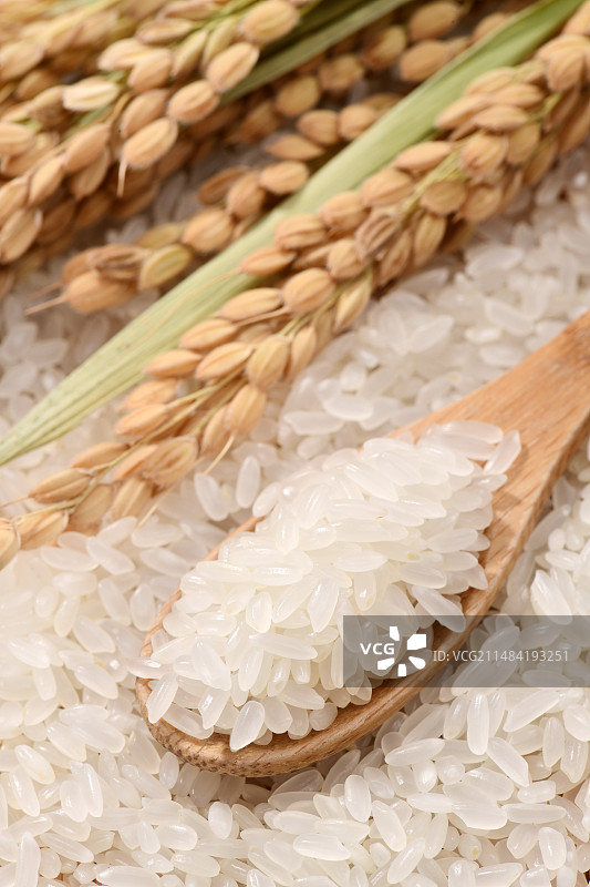 大米与稻穗图片素材