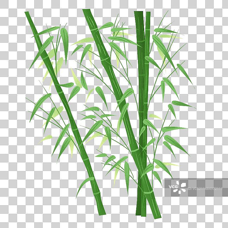 竹子通用素材图片素材
