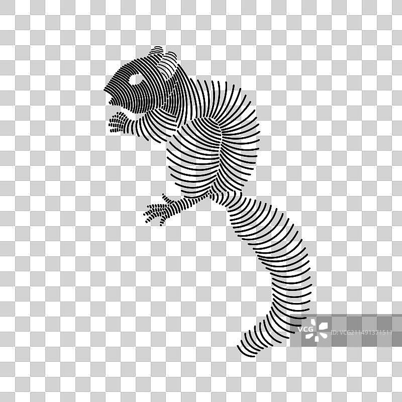 花栗鼠的简单线条艺术图片素材