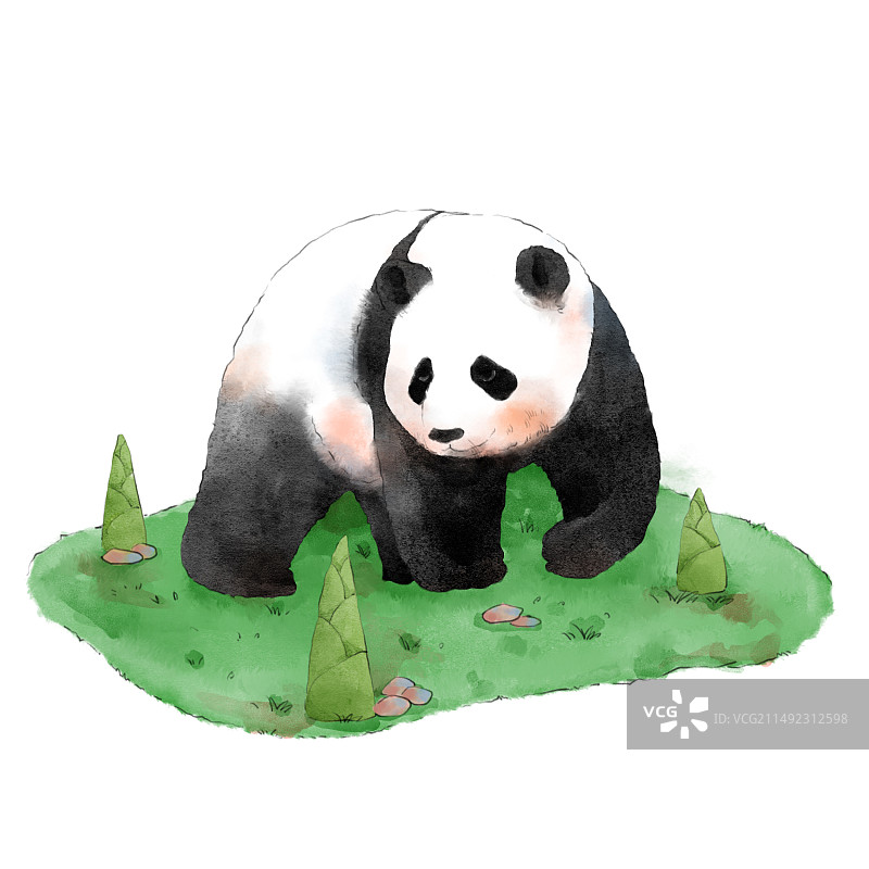panda2图片素材