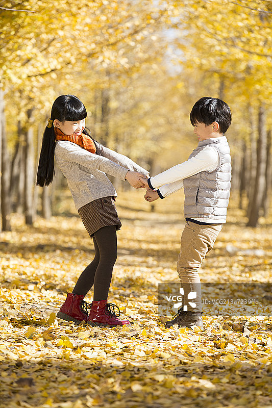 两个小孩在秋日的树林里嬉戏图片素材