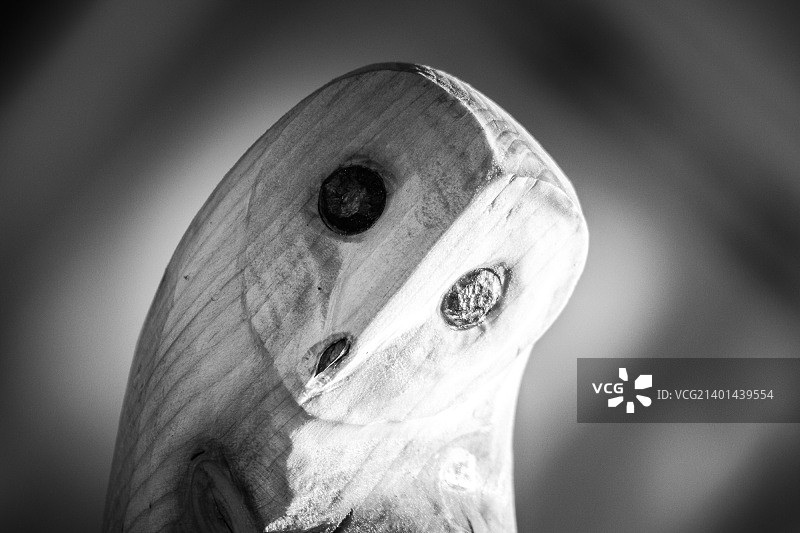 电锯雕刻的猫头鹰图片素材