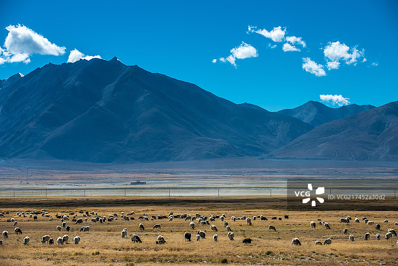 西藏日喀则地区萨嘎县佩估措风光图片素材