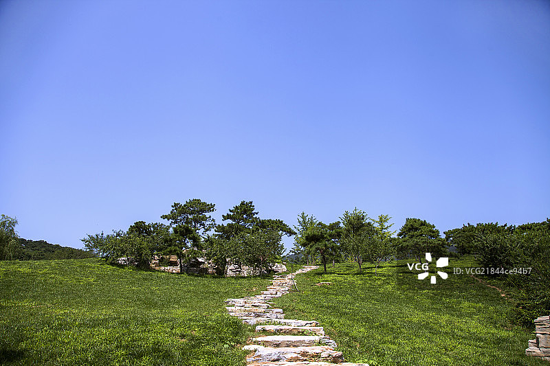 中国园林石板路草地蓝天树林图片素材