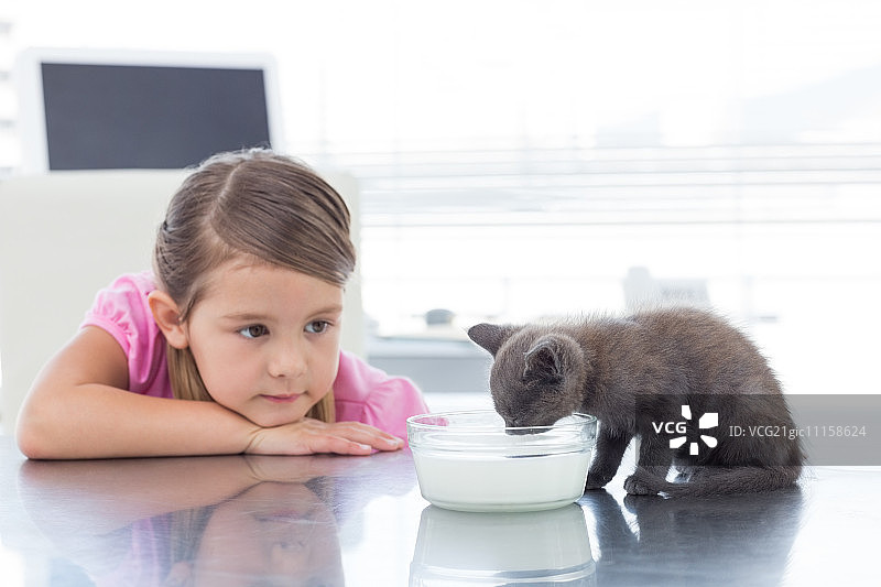 在兽医办公室，小女孩看着小猫喝牛奶图片素材