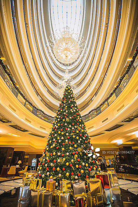 瑞金宾馆的圣诞树图片素材