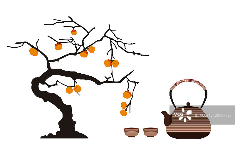 中国茶和柿树插画图片素材