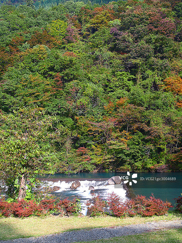 日本,自然风光图片素材