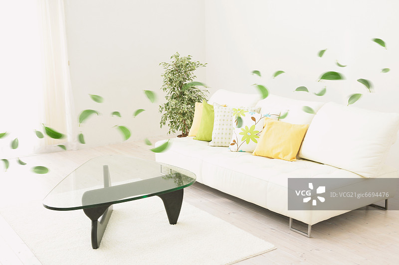 现代客厅室内和漂浮的绿叶图片素材
