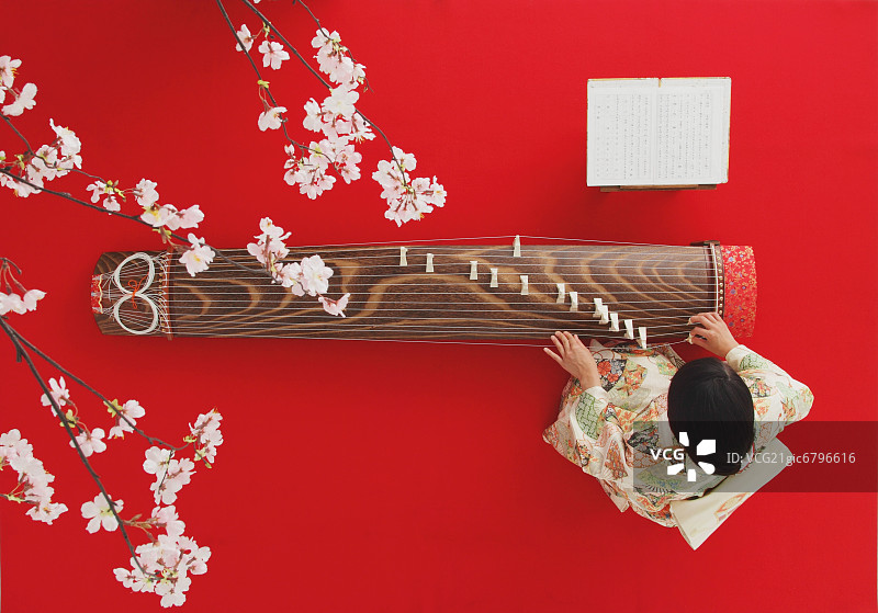 穿着和服弹奏古筝和樱花的日本妇女图片素材