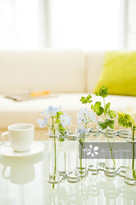 咖啡桌，花瓶和咖啡杯里放着鲜花图片素材