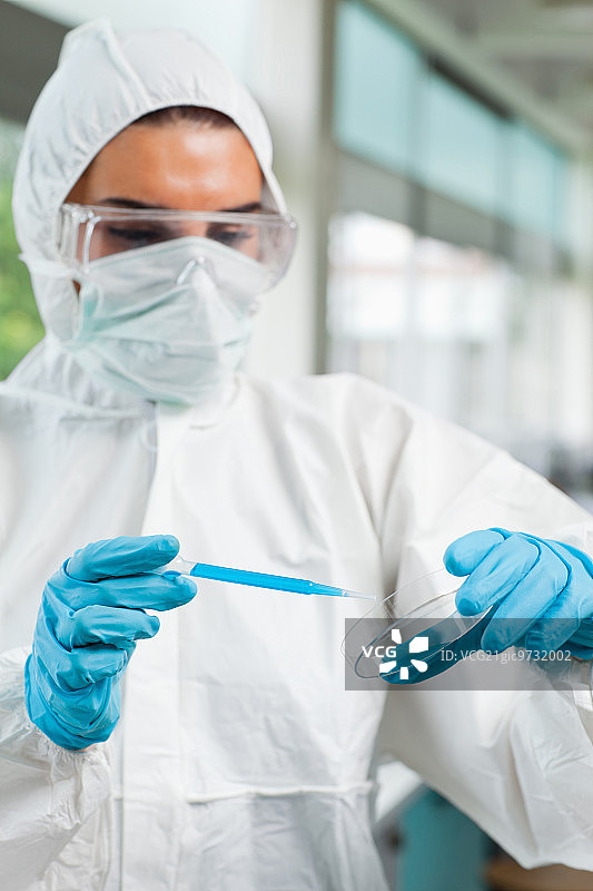 一名受保护的理科女学生在实验室的培养皿中滴下蓝色液体图片素材