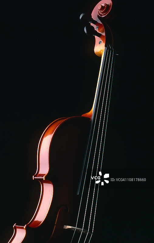 小提琴图片素材