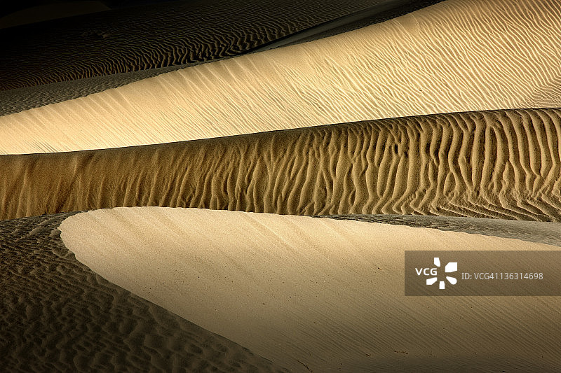 牧豆树沙丘的细节与阴影图片素材
