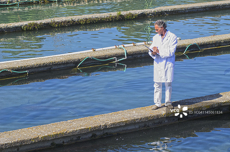 在鱼类孵化场工作的西班牙裔男子图片素材