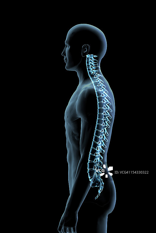 男性脊柱侧视图在蓝色x射线，数字生成图像，由汉克格雷布图片素材