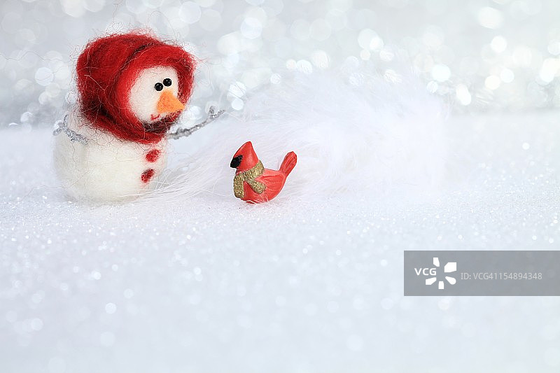 雪童和红色的鸟图片素材