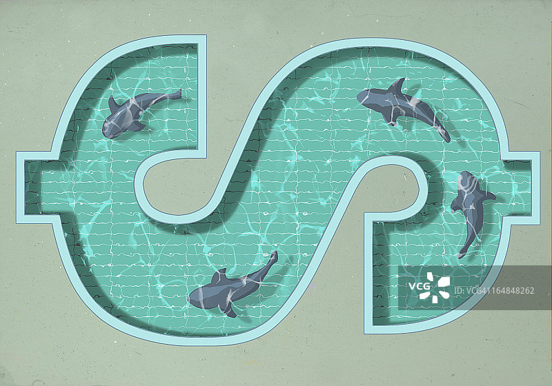 一个美元符号形状的游泳池，有四条鲨鱼在里面游泳图片素材